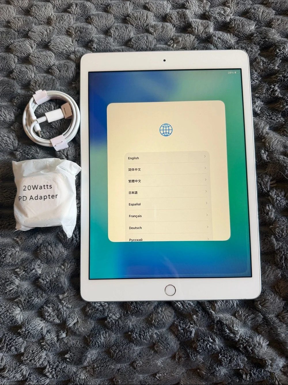 Apple iPad in White with Silver Charger and Cable